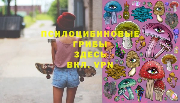 PSILOCYBIN Нефтекумск