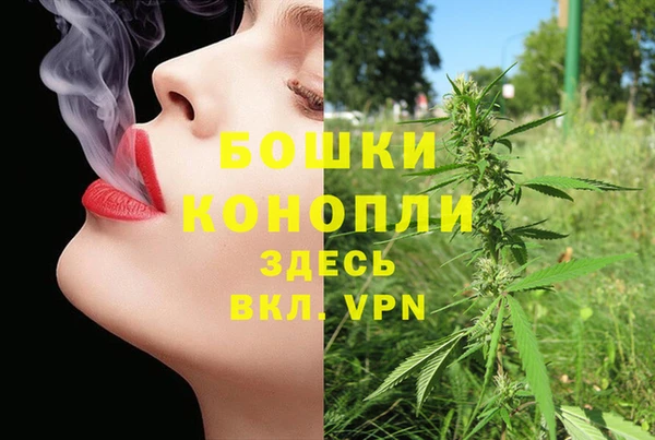 PSILOCYBIN Нефтекумск