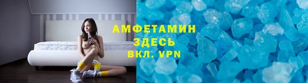 индика Грязи