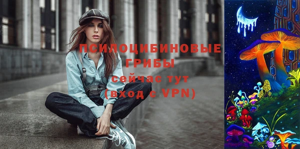 PSILOCYBIN Нефтекумск
